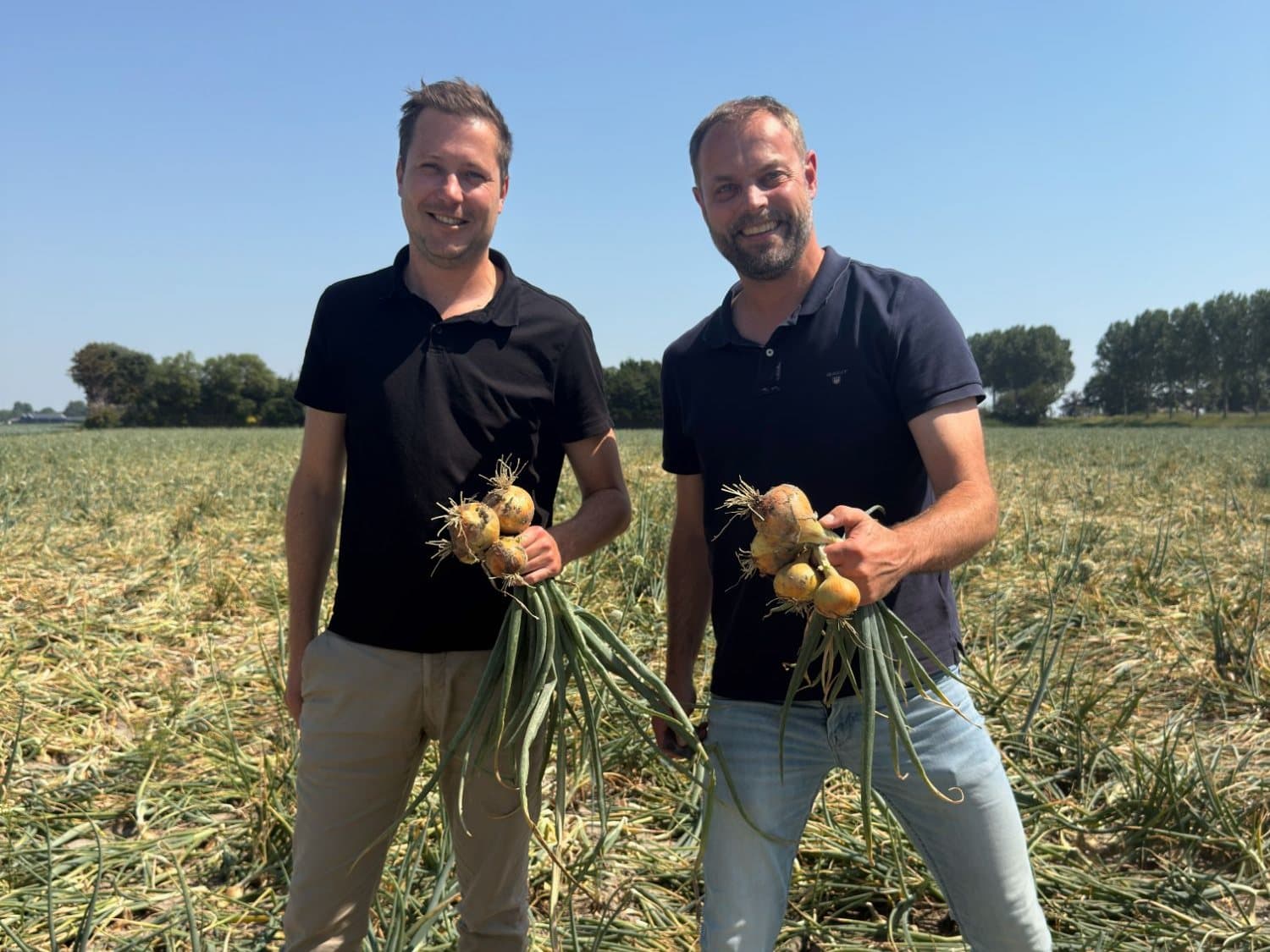 Robin Harinck (links) en Gerben van Boven van MLink op een uienperceel, elk met een bos uien in de hand.